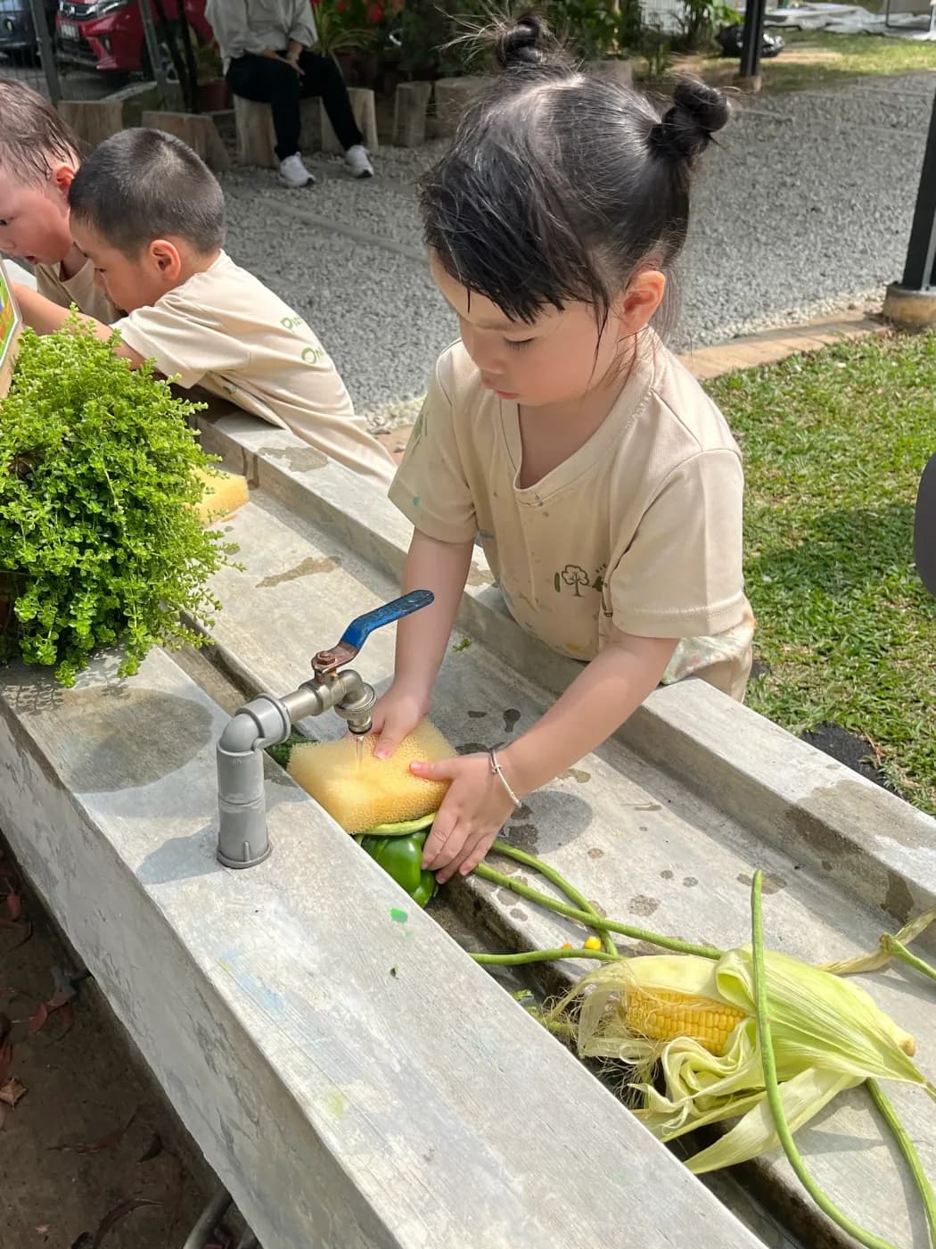 Lil Nature Explorer — Washing the harvest
